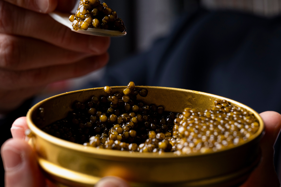Caviar del Tíbet: origen, excelencia y territorio.