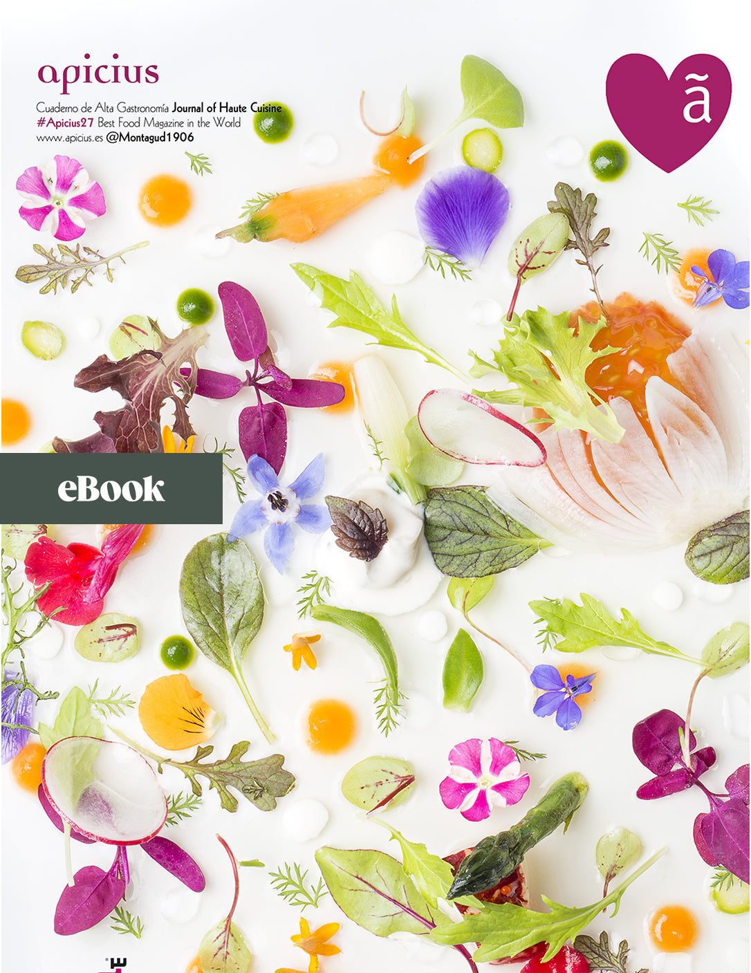 Apicius 27 (eBook)