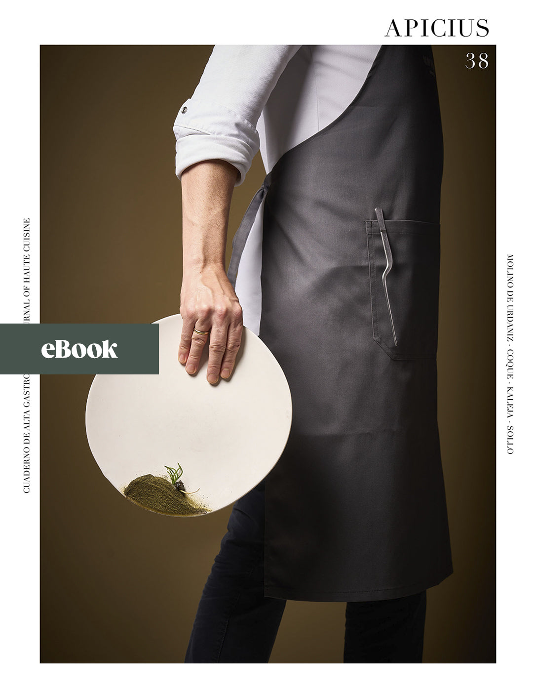Apicius 38 (eBook)