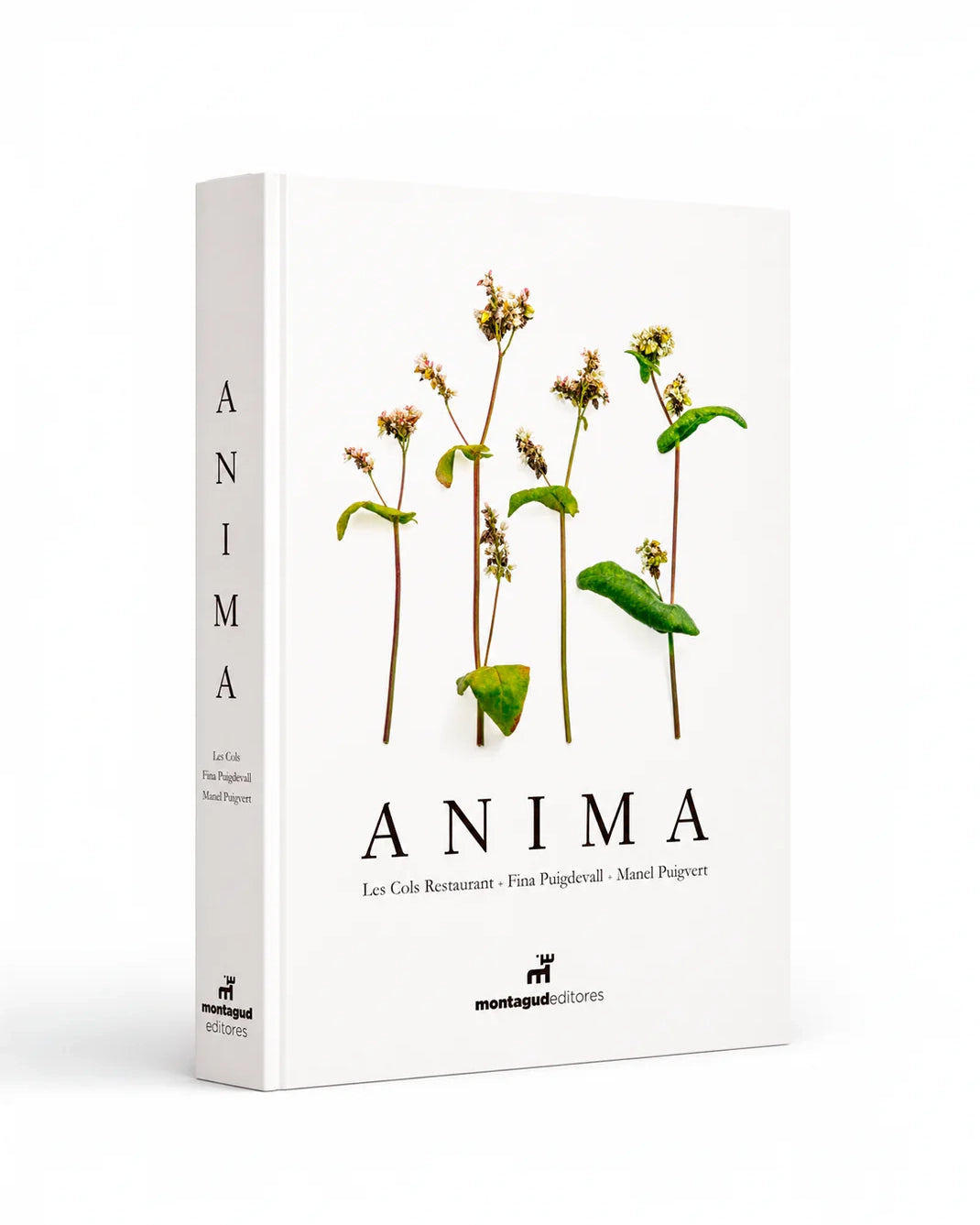 Anima, Fina Puigdevall