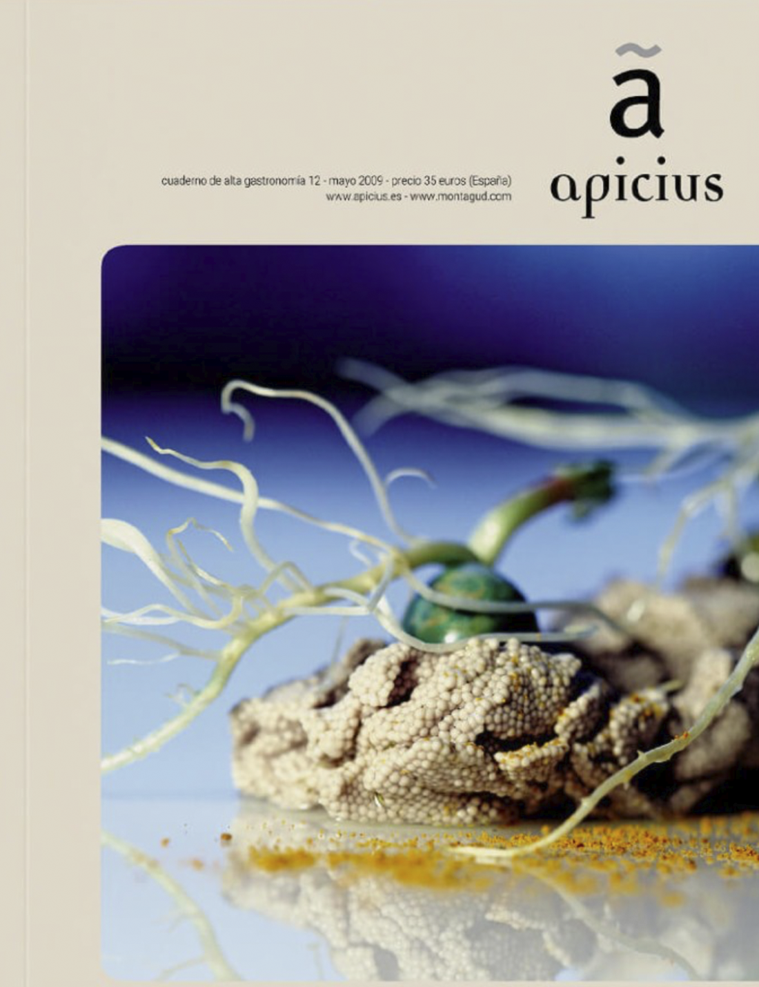 [apicius12] Bluefin tuna