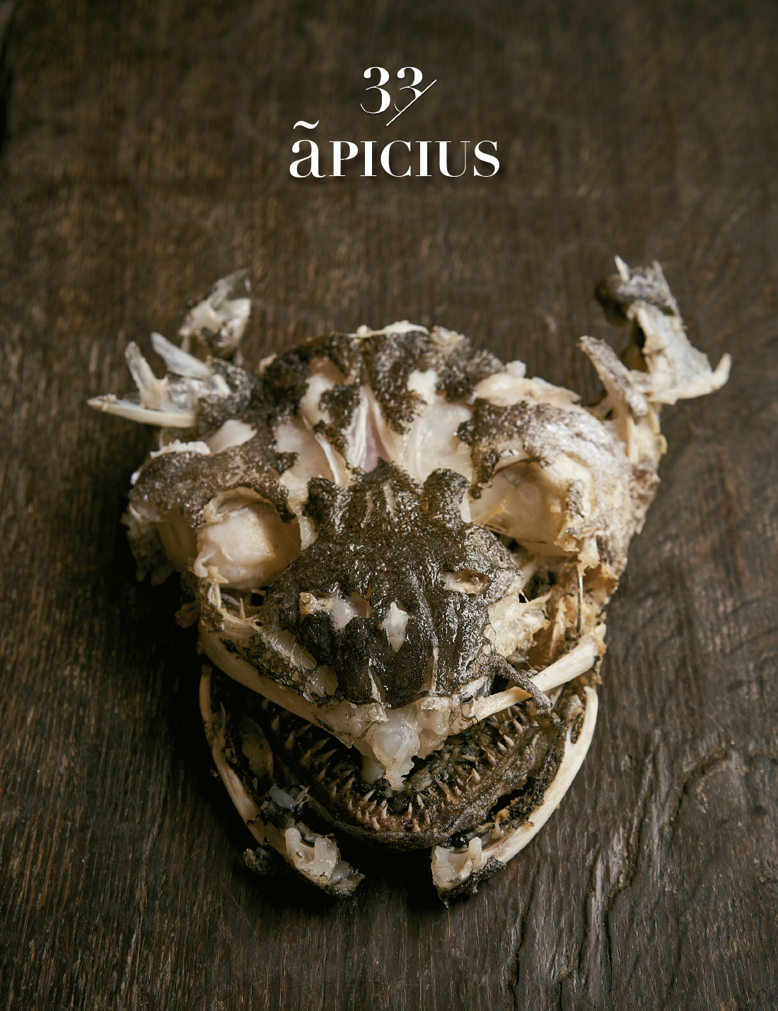 Apicius 33