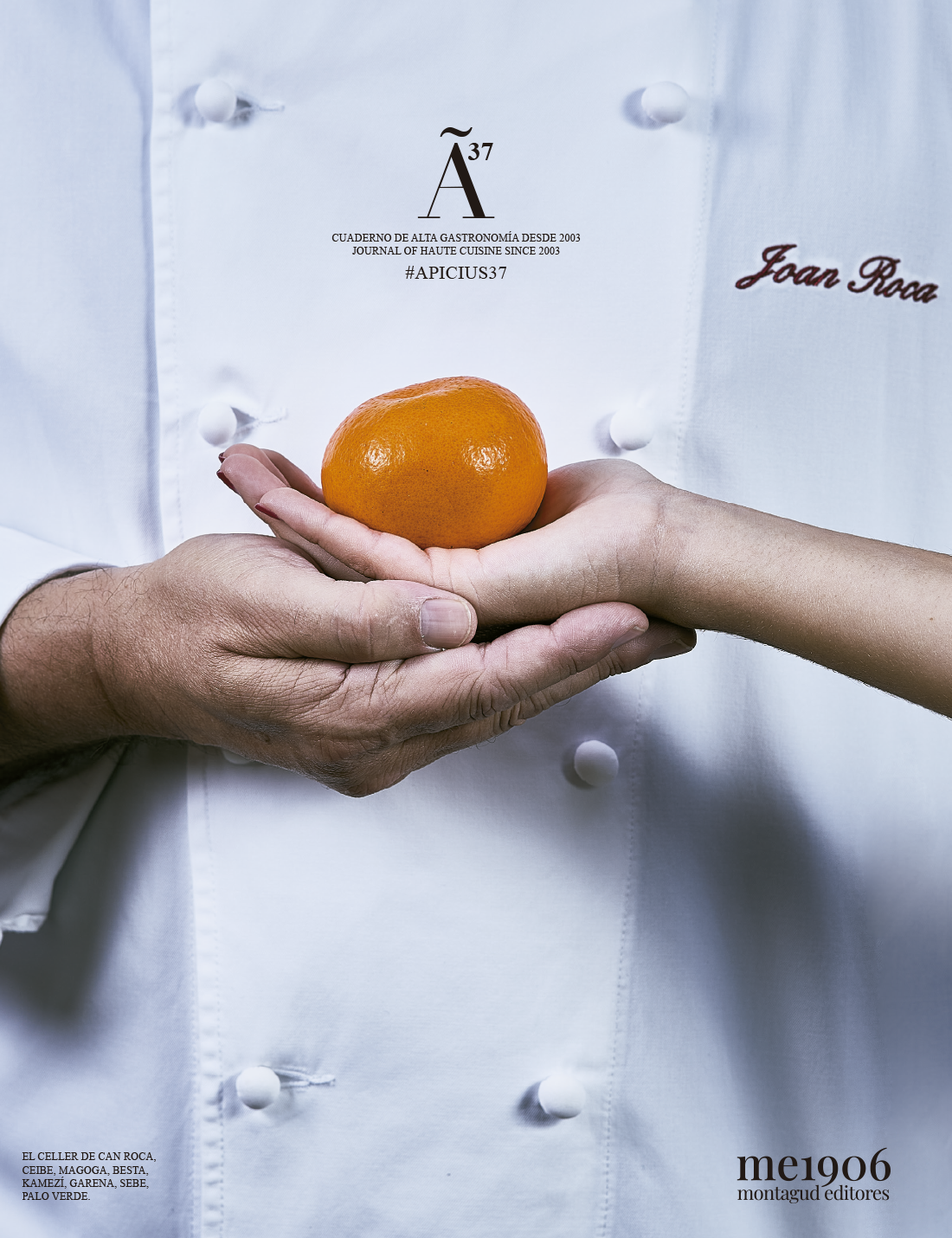 Apicius 37