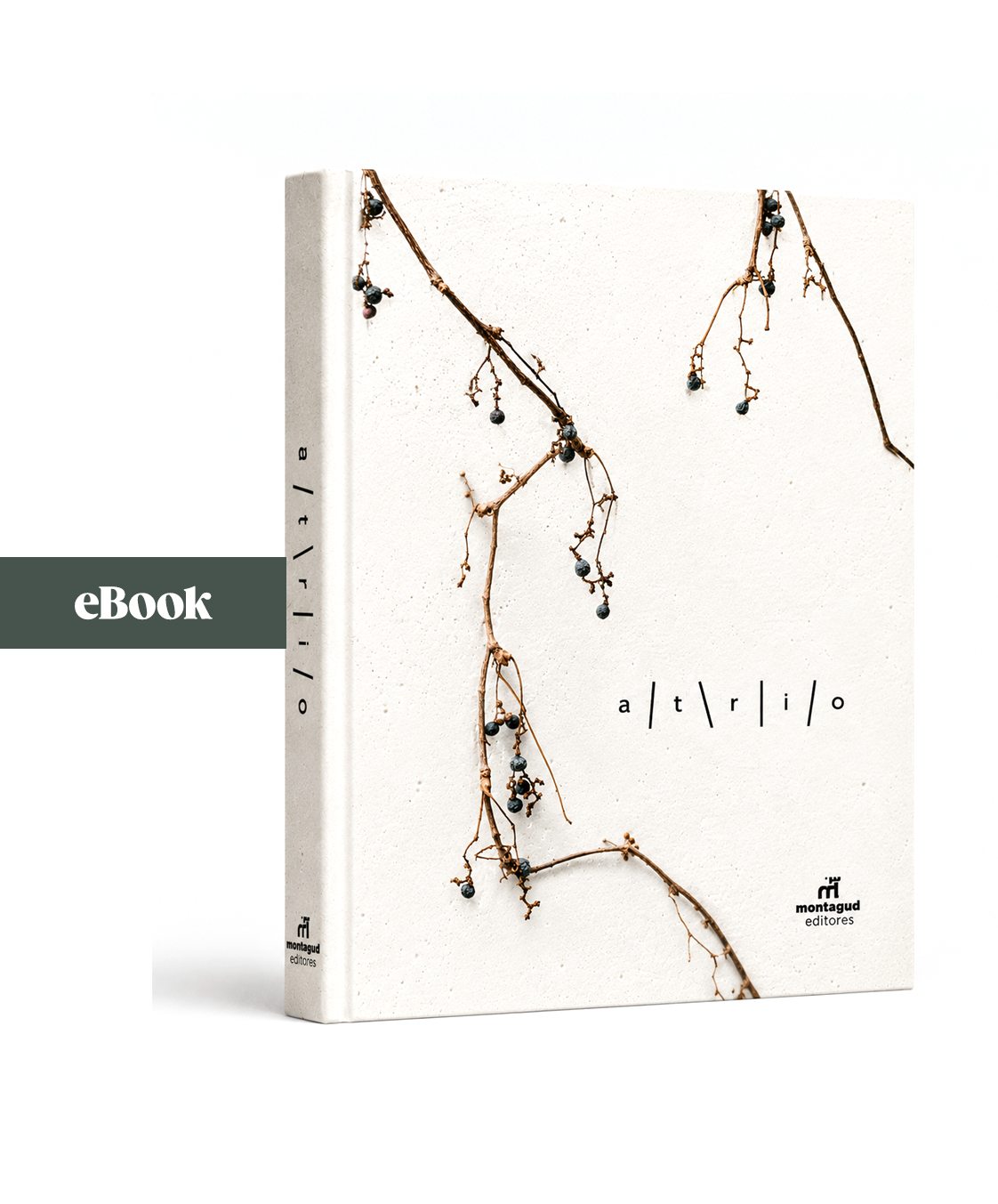 Atrio, Toño Pérez y José Polo (eBook)