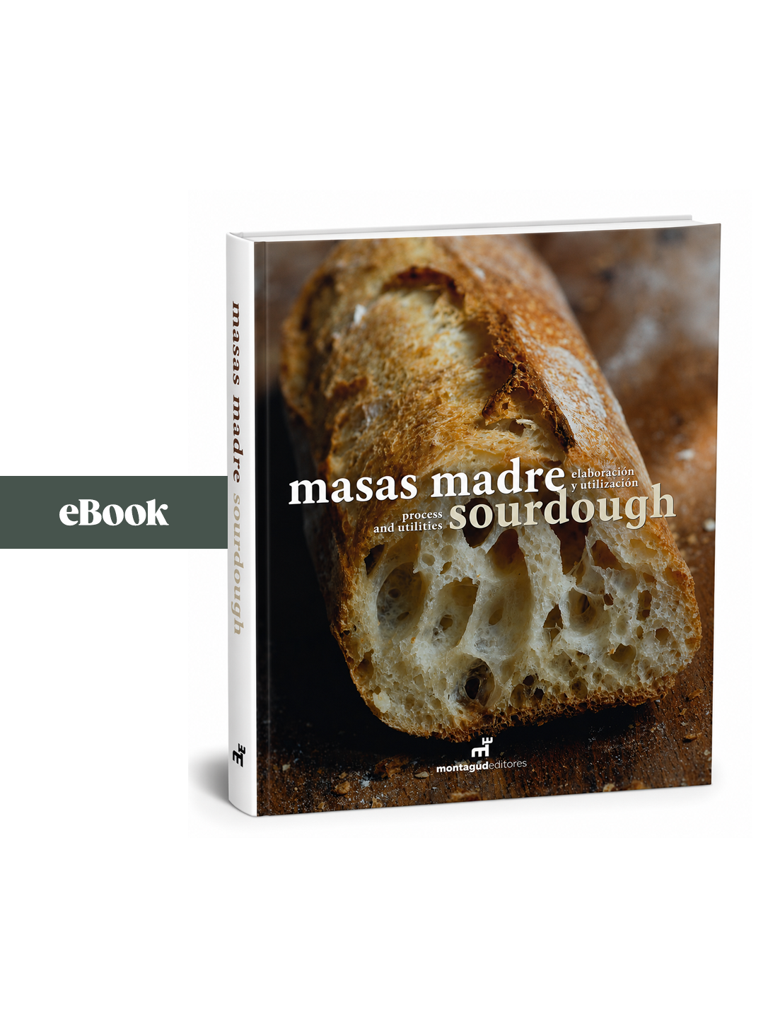 Masas madre (eBook), Francisco Javier Antoja