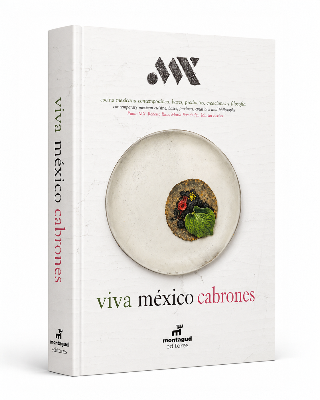 Punto MX, Roberto Ruiz